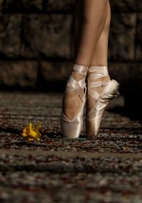 Low section of ballet dancer by yellow flower on footpath