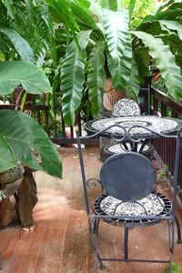 Chairs and leaves on table