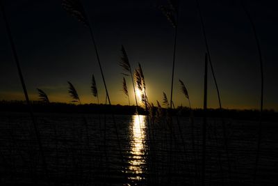 Scenic view of sunset over sea