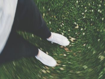 Close-up of grass