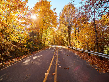 Road amidst autumn trees against sky