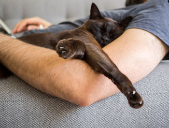 Midsection of woman with dog relaxing on bed