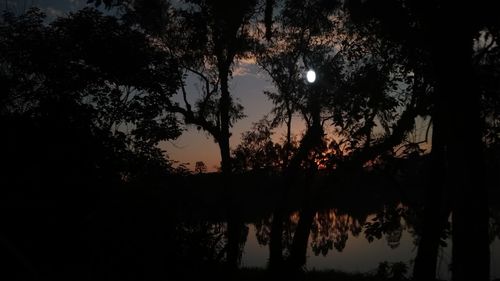 Silhouette trees by lake against sky at night