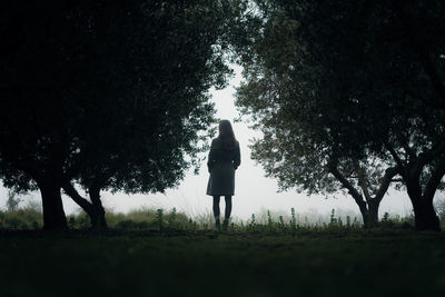 Rear view of woman standing on field in forest