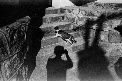 High angle view of shadow on wall