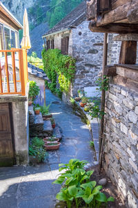 Plants and buildings against mountain