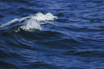 Scenic view of sea waves