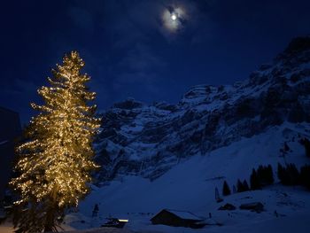 Illuminated trees by snowcapped mountains against sky at night