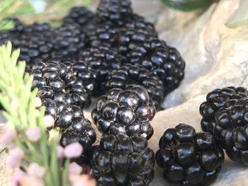 High angle view of berries on table