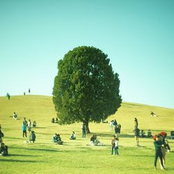 People on grassy field against clear sky