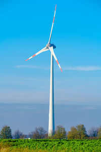 environmental conservation
