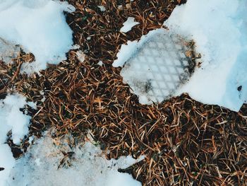 Close-up of snow