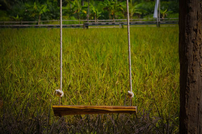 High angle view of swing on grassy field