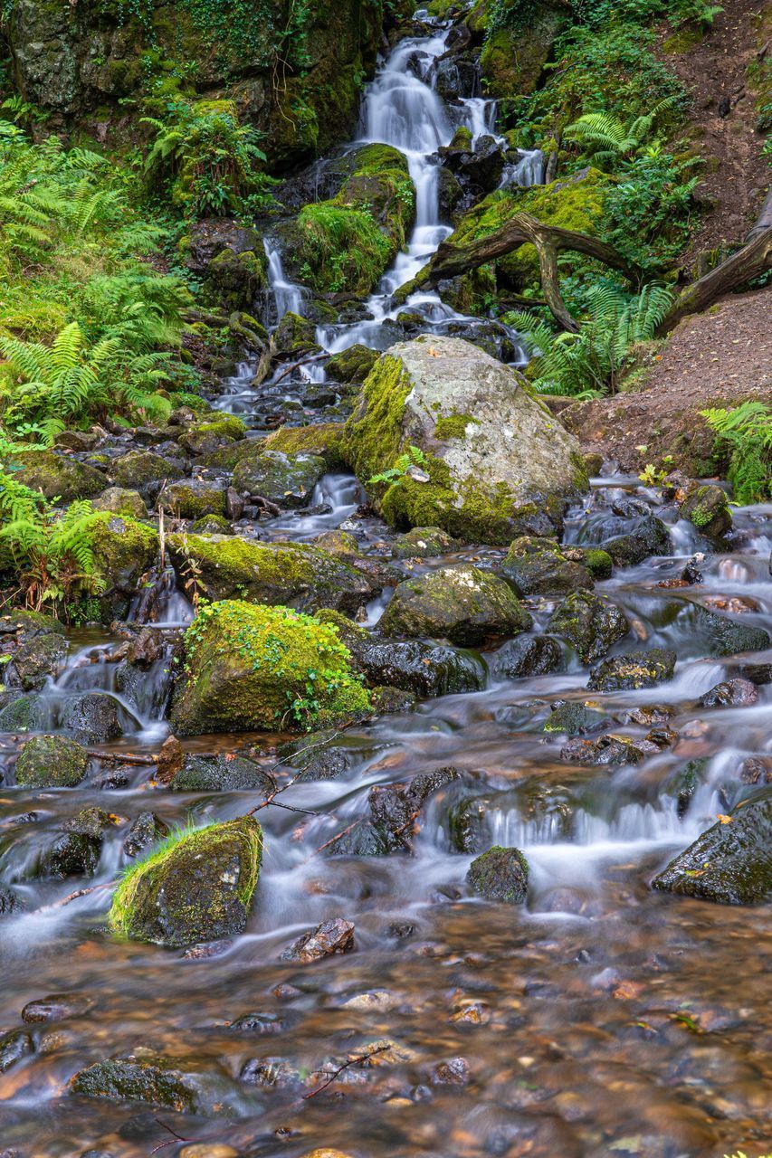 STREAM FLOWING THROUGH ROCKS