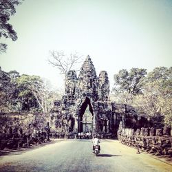 View of trees against clear sky