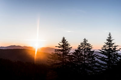 Silhouette of trees against sky during sunset