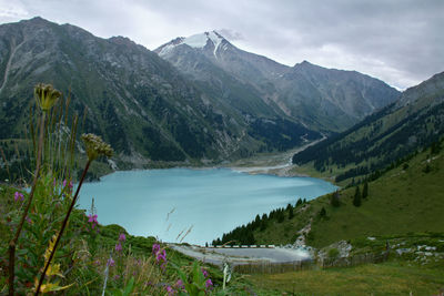 Alpine lake surrounded by mountains, around the lake grass, flowers and trees, peaks