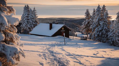 Snow covered land and trees by building against sky during winter