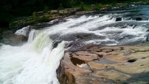 Stream flowing through forest