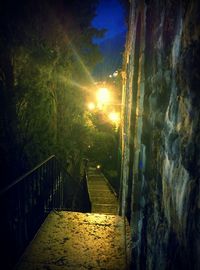 Illuminated street lights at night