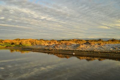 Scenic view of lake by field against cloudy sky during sunset