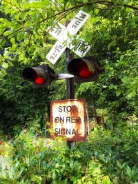 Low angle view of road sign against plants