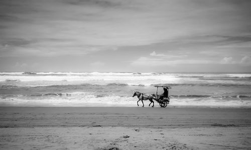 Silhouette man riding horse cart at beach against sky
