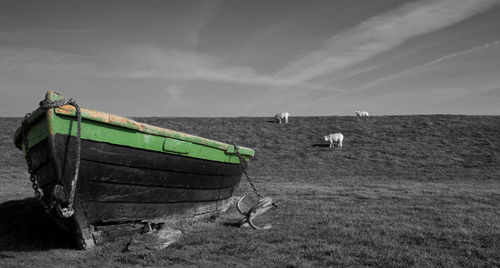 Boats moored on field against sky