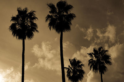 Low angle view of silhouette palm trees against cloudy sky at sunset
