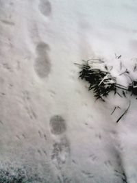 High angle view of snowflakes on snow