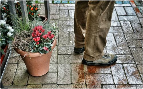 Low section of man standing by flowers