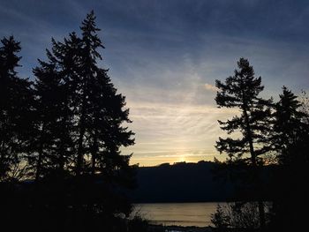 Silhouette tree by lake against sky during sunset