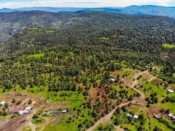 High angle view of trees on landscape