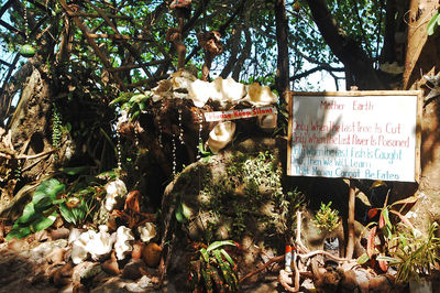 Information sign on tree in forest