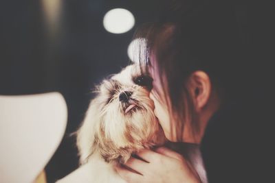 Close-up of dog looking at camera