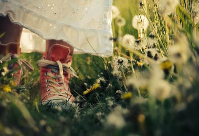 Low section of woman walking on grassy field