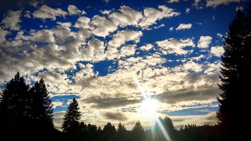 Low angle view of silhouette trees against blue sky