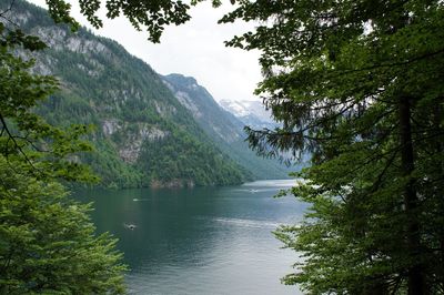 Scenic view of river amidst trees against sky