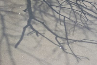 Close-up of shadow on snow