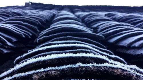 Close-up of frosty roof tiles