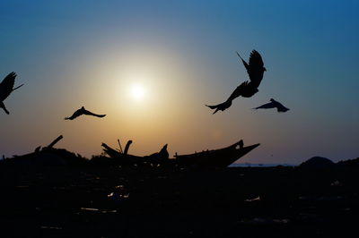 Silhouette birds flying over sea during sunset