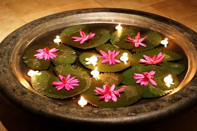 High angle view of pink flowers on table