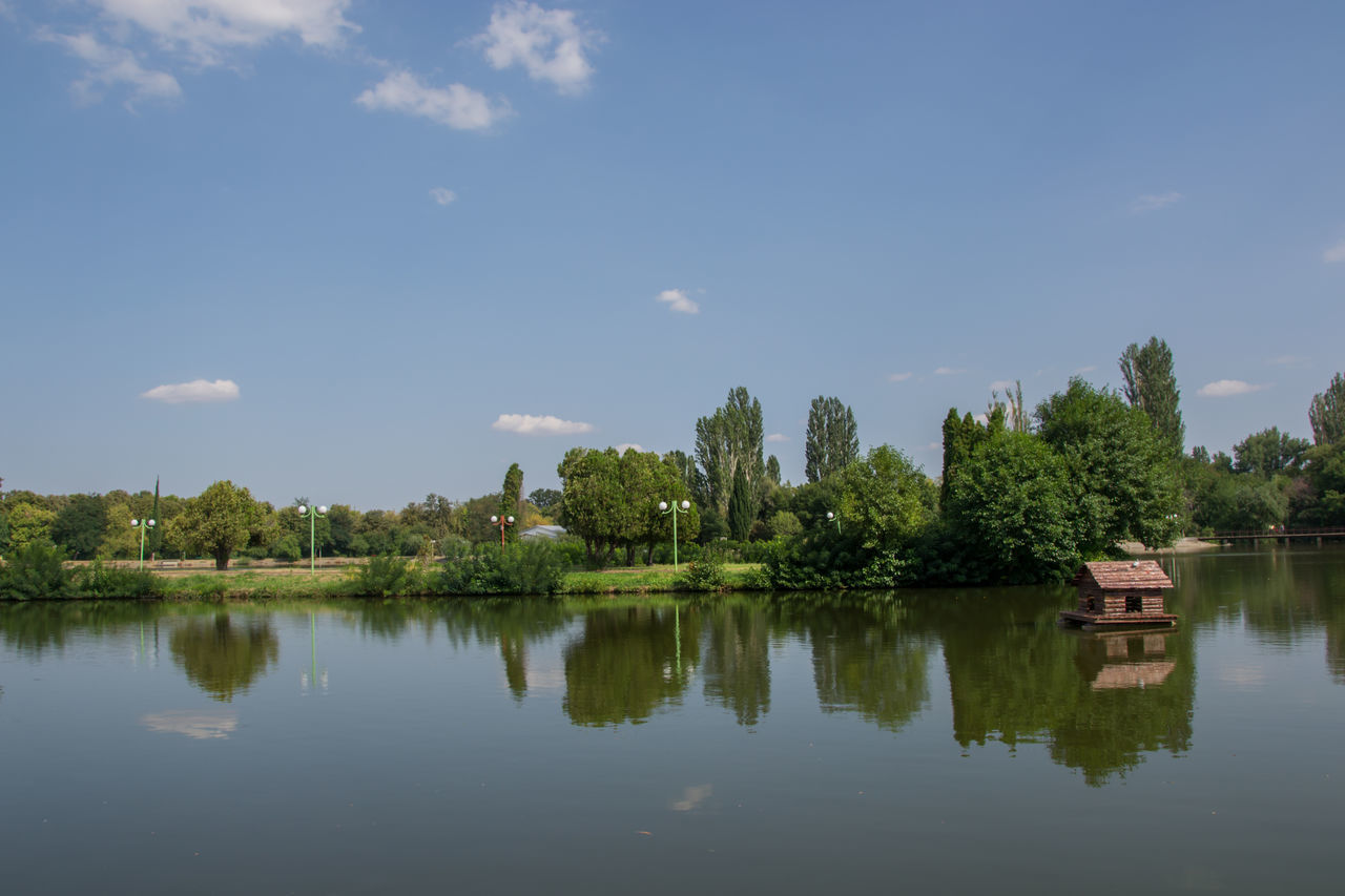 SCENIC VIEW OF LAKE WITH TREES AGAINST SKY