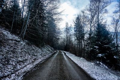 Road amidst trees in forest during winter