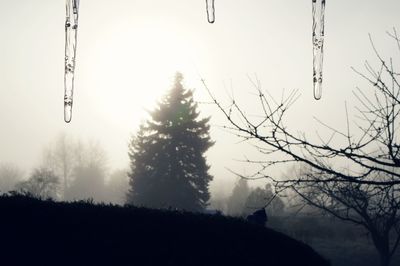 Low angle view of trees against cloudy sky