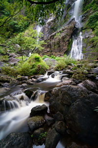 Stream flowing through rocks in forest