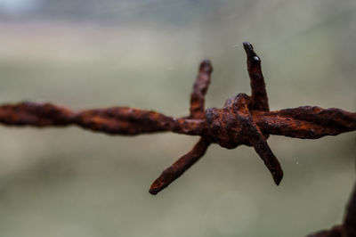 Close-up of rusty metal