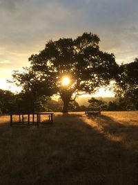 Scenic view of landscape at sunset