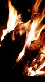 Close-up of bonfire at night