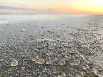 Surface level of beach against sky during sunset